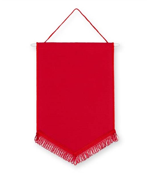 Pack of 10 Red Satin Chevron Pennants (choice of fringe colour)