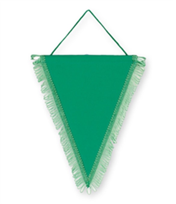 Pack of 10 Emerald Green Triangle Pennants (choice of fringe colour)