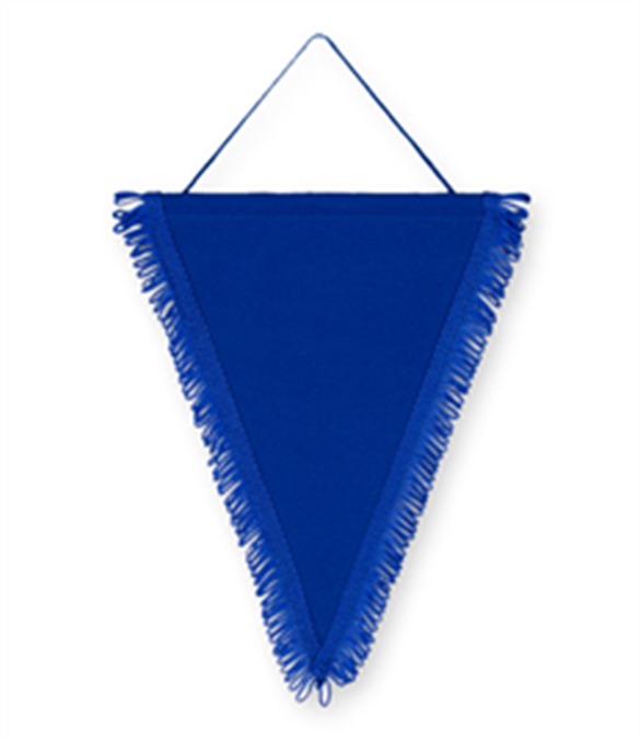 Pack of 10 Royal Triangle Pennants (choice of fringe colour)